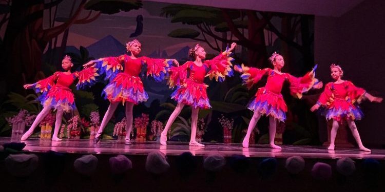 Iniciativa financiada pela Aldir Blanc promove diálogo sobre saúde mental e cultura em Jaru; evento acontece nesta sexta-feira, 16 na ACIJ